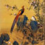 Flowers & Birds by Liang Shining 郎世宁花鸟画