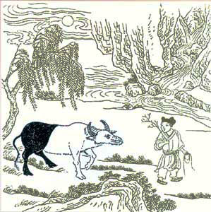 Ox herding picture 5