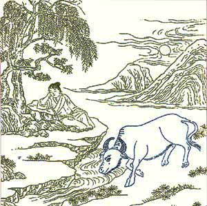 ox herding picture 7